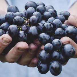 Multivitaminok 50 éven felülieknek